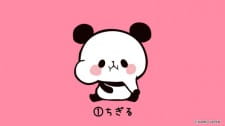 Mochi Mochi Panda