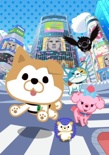 Shibuya Hachi